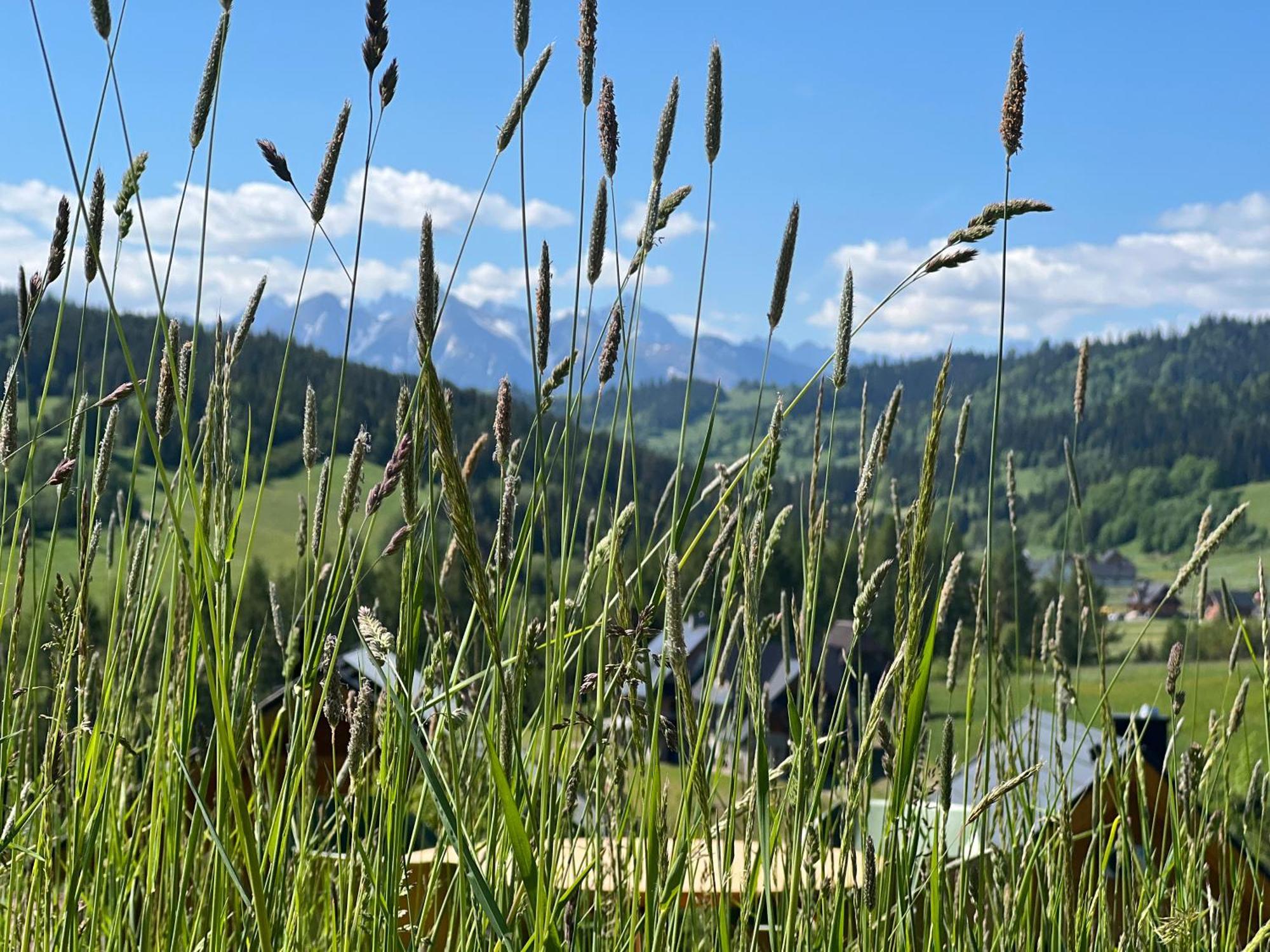 Houten Vakantiewoning "Reisnaarpolen" Royaal Ontbijt, Sauna En Hottub Czarna Gora Bagian luar foto